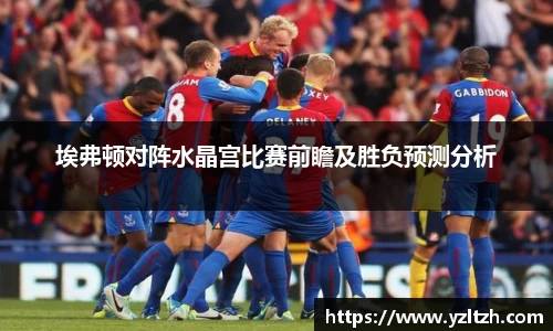 埃弗顿对阵水晶宫比赛前瞻及胜负预测分析