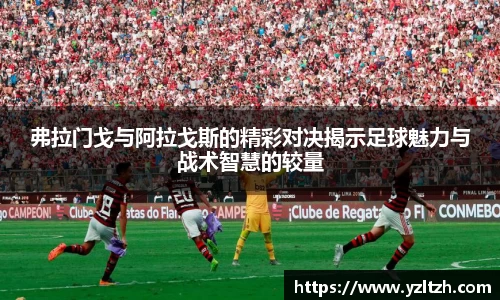 弗拉门戈与阿拉戈斯的精彩对决揭示足球魅力与战术智慧的较量