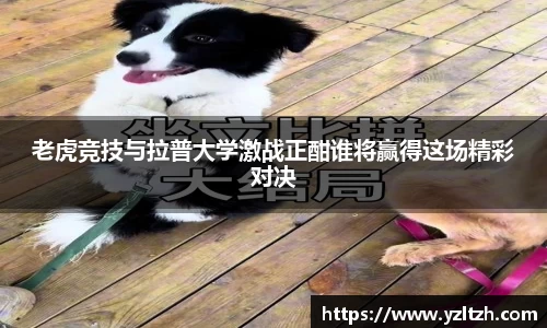 老虎竞技与拉普大学激战正酣谁将赢得这场精彩对决
