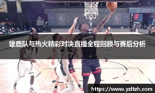雄鹿队与热火精彩对决直播全程回顾与赛后分析